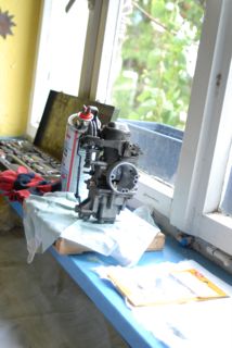 Bild